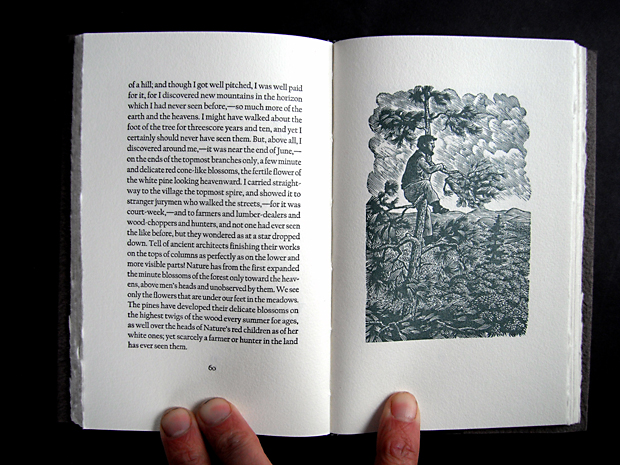 typeset